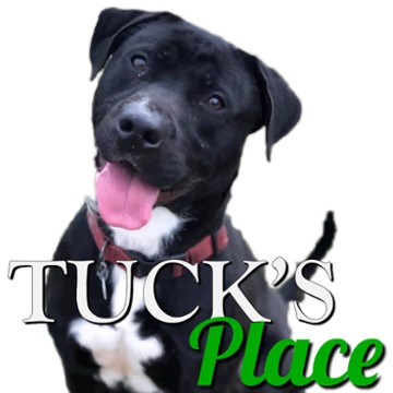 Tuck's Place Quick Bites