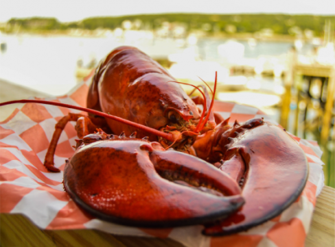 Beal's Lobster Pier