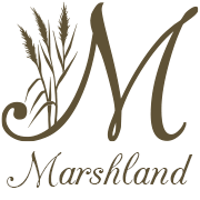 Marshland Too (New) 315 Cotuit Road