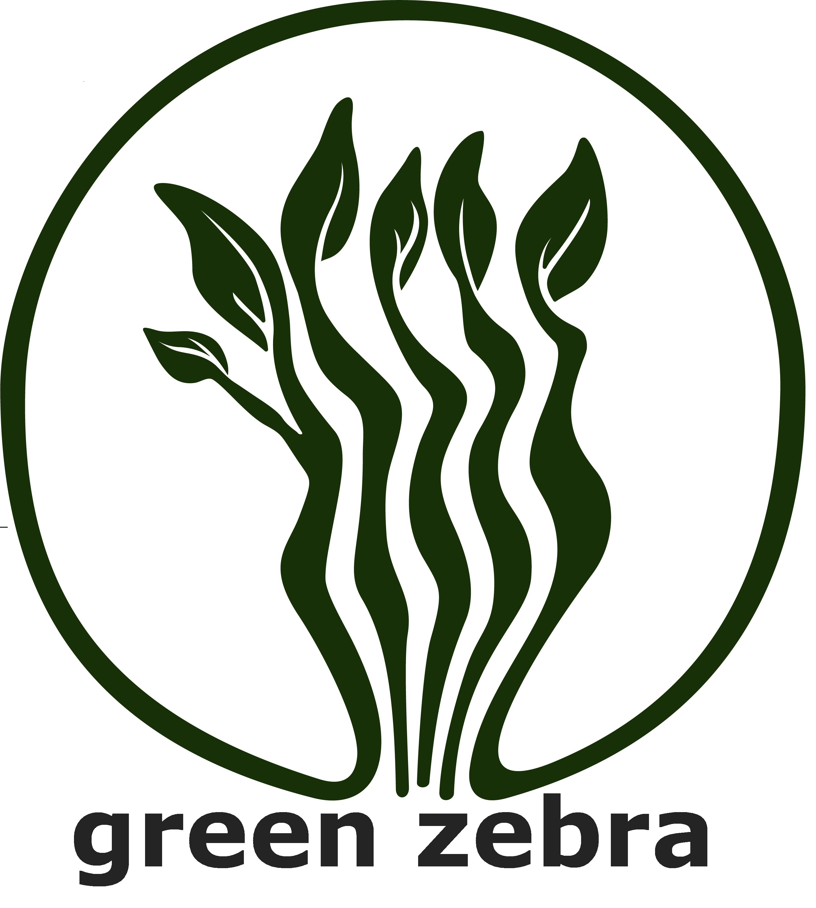 Green Zebra Cafe 1377 Main St