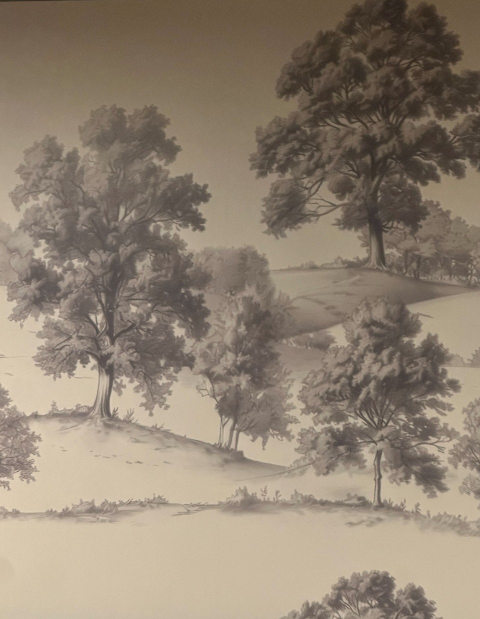 Sorelle Off the Lane