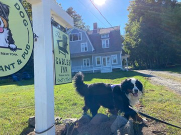 Mountain Dog Restaurant & Pub