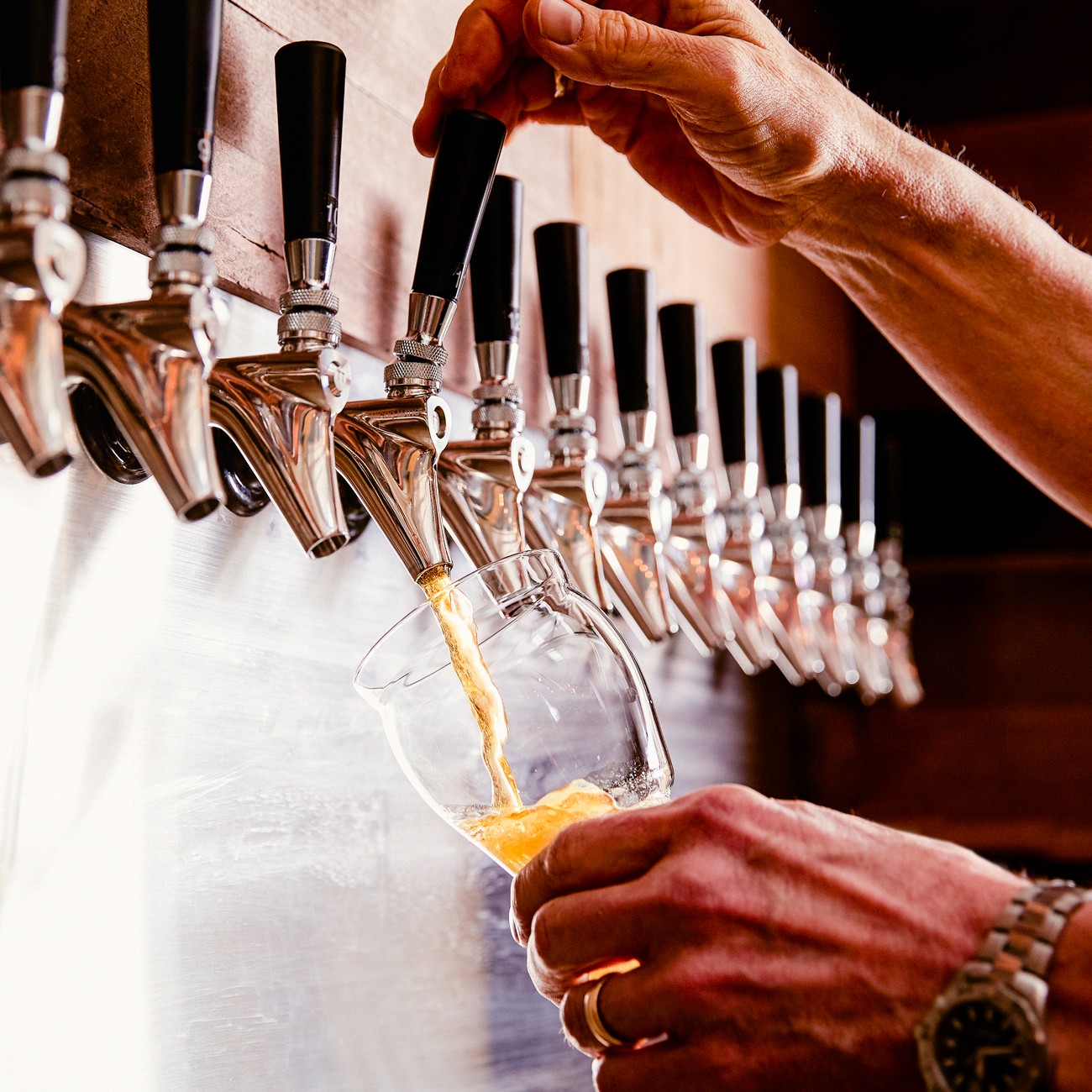 The Good Society West Seattle