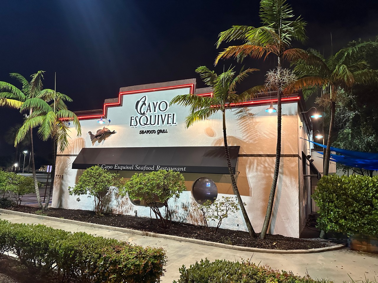 Cayo Esquivel - Bird Road