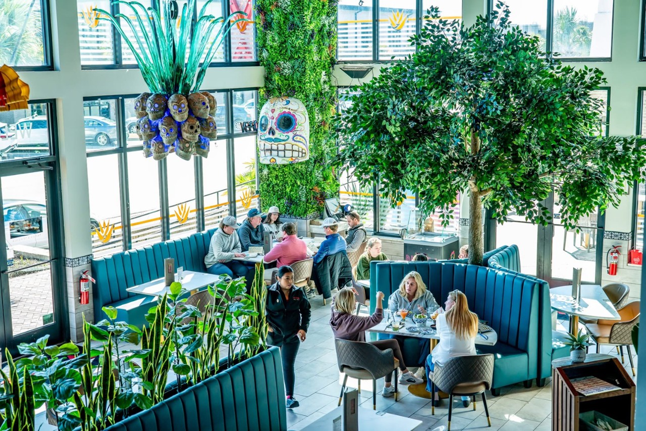 Viva Tacos & Tequila 864 Island Park Dr Suite