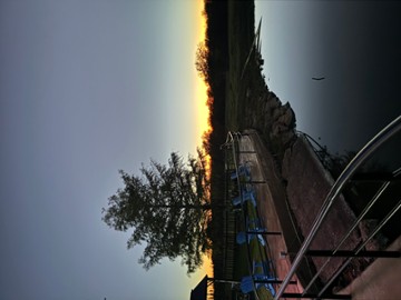The Back Porch