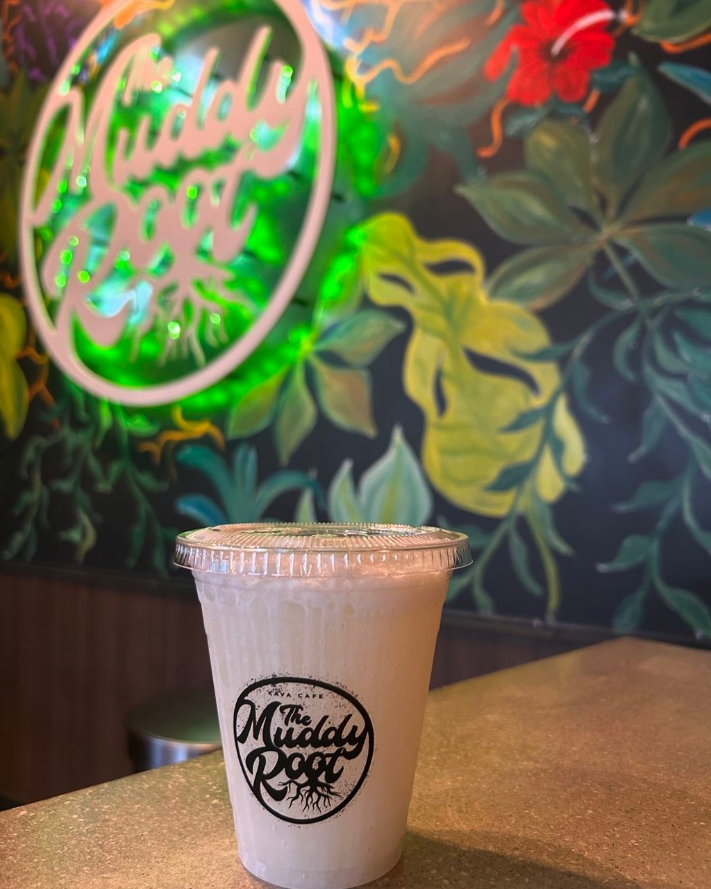 The Muddy Root Kava Cafe | St. Petersburg