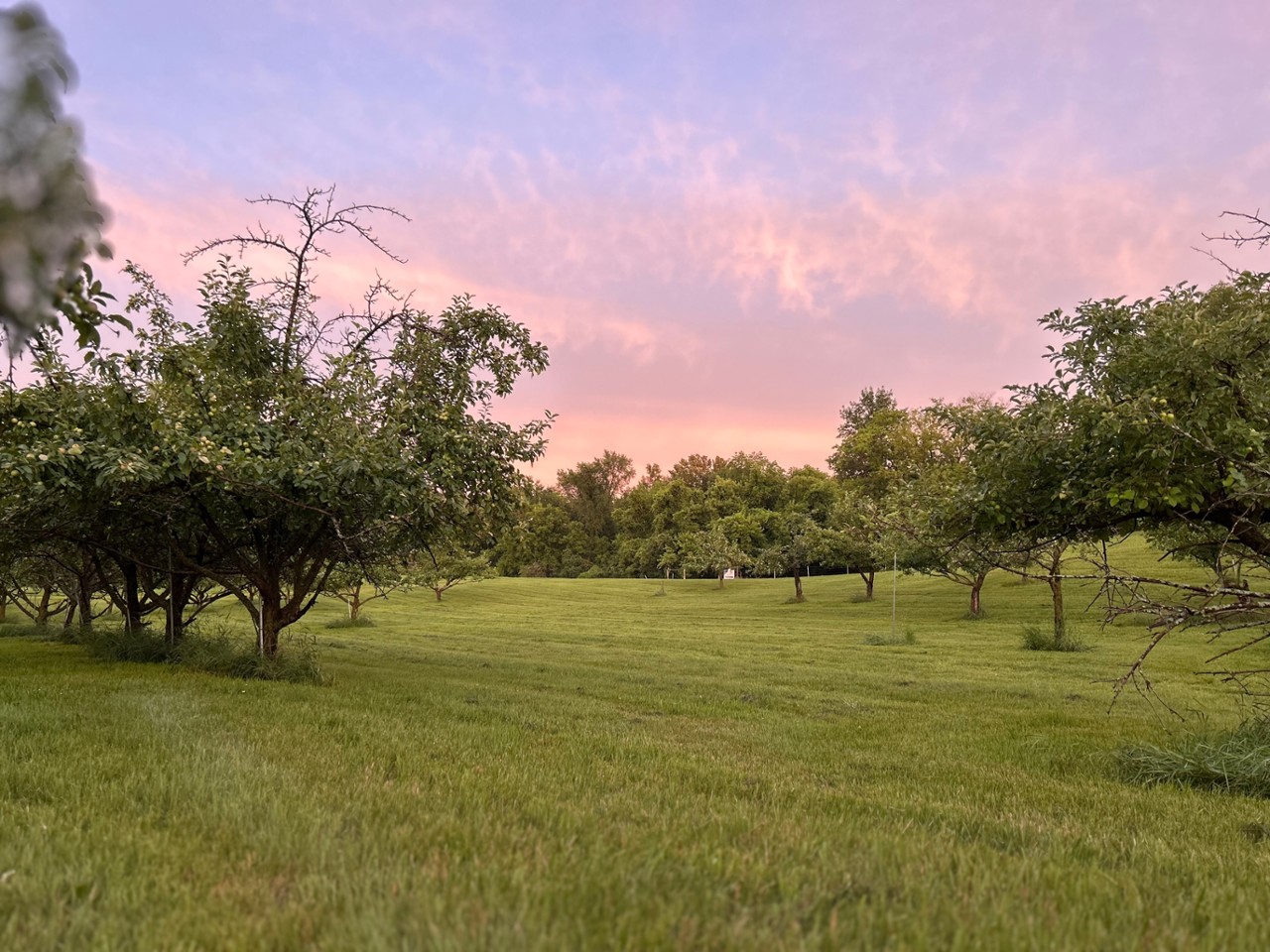 The Tasting Grove 15455 Old Mill Road