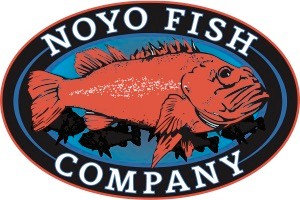 Noyo Fish Company 32440 N Harbor Dr