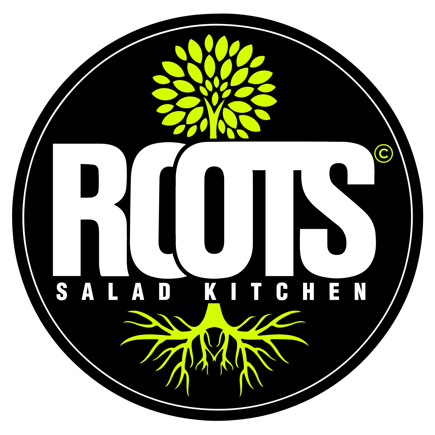 Roots Salad Kitchen 403 BLUE STAR STE 106