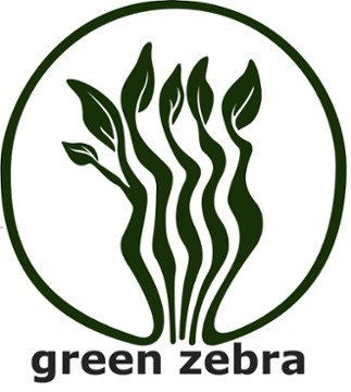 Green Zebra Cafe  St Armand's Circle