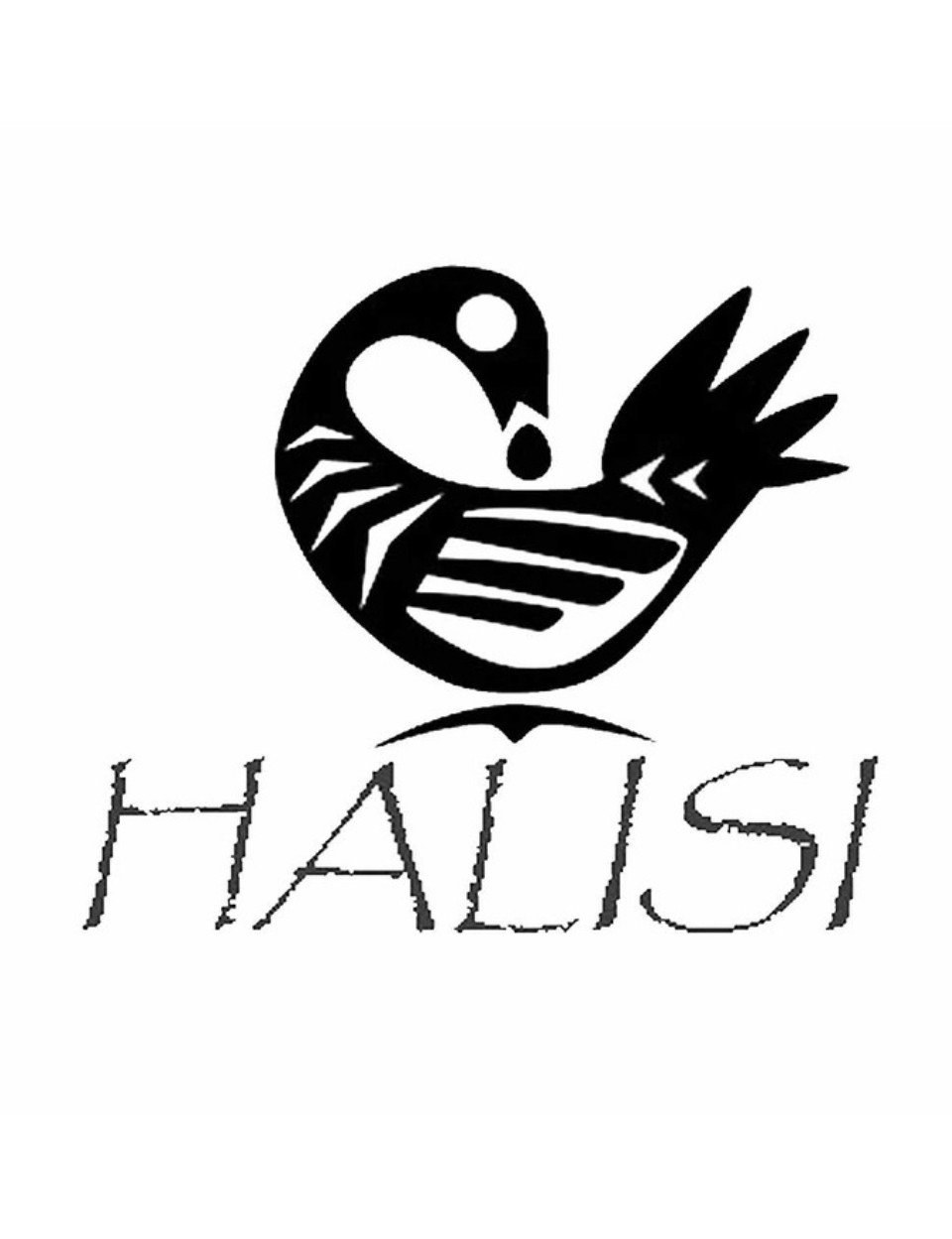 Halisi Africa Boutique & Café 
