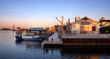 RJ GATORS FLORIDA SEA GRILL AND BAR