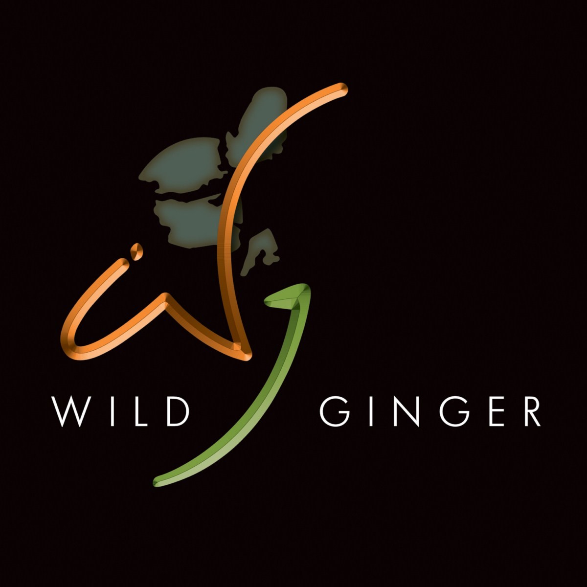 Wild Ginger Restaurant