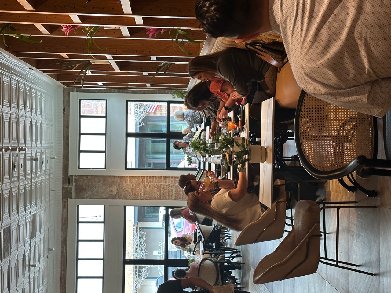 Fern In The Wild 211 W Knox St