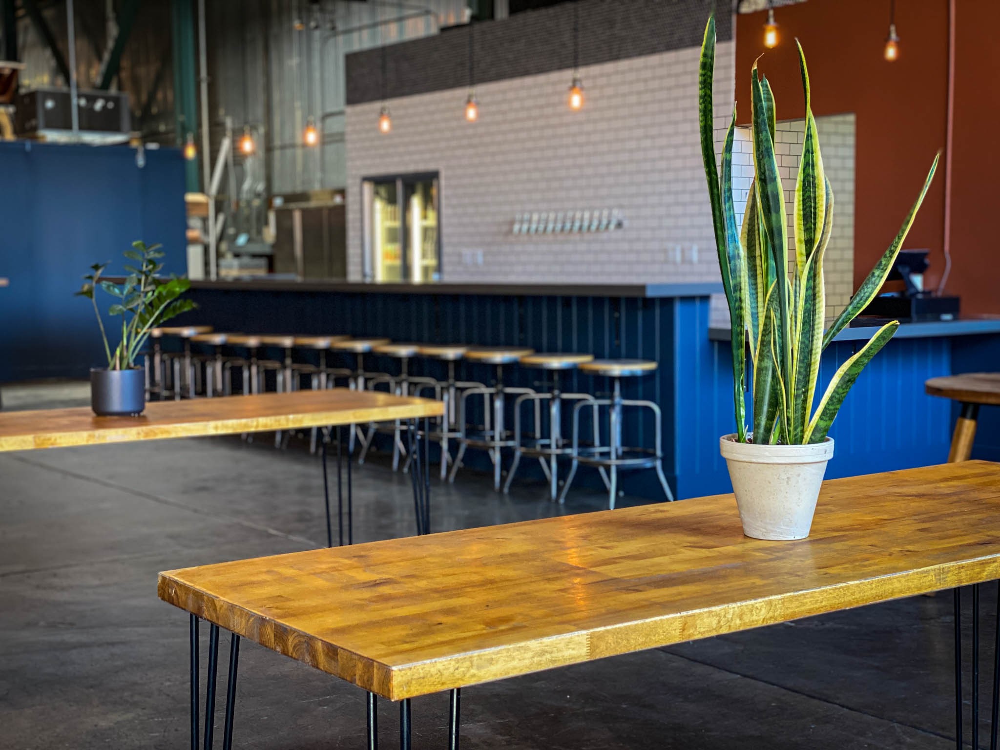 Cellarmaker - Parker St. Berkeley