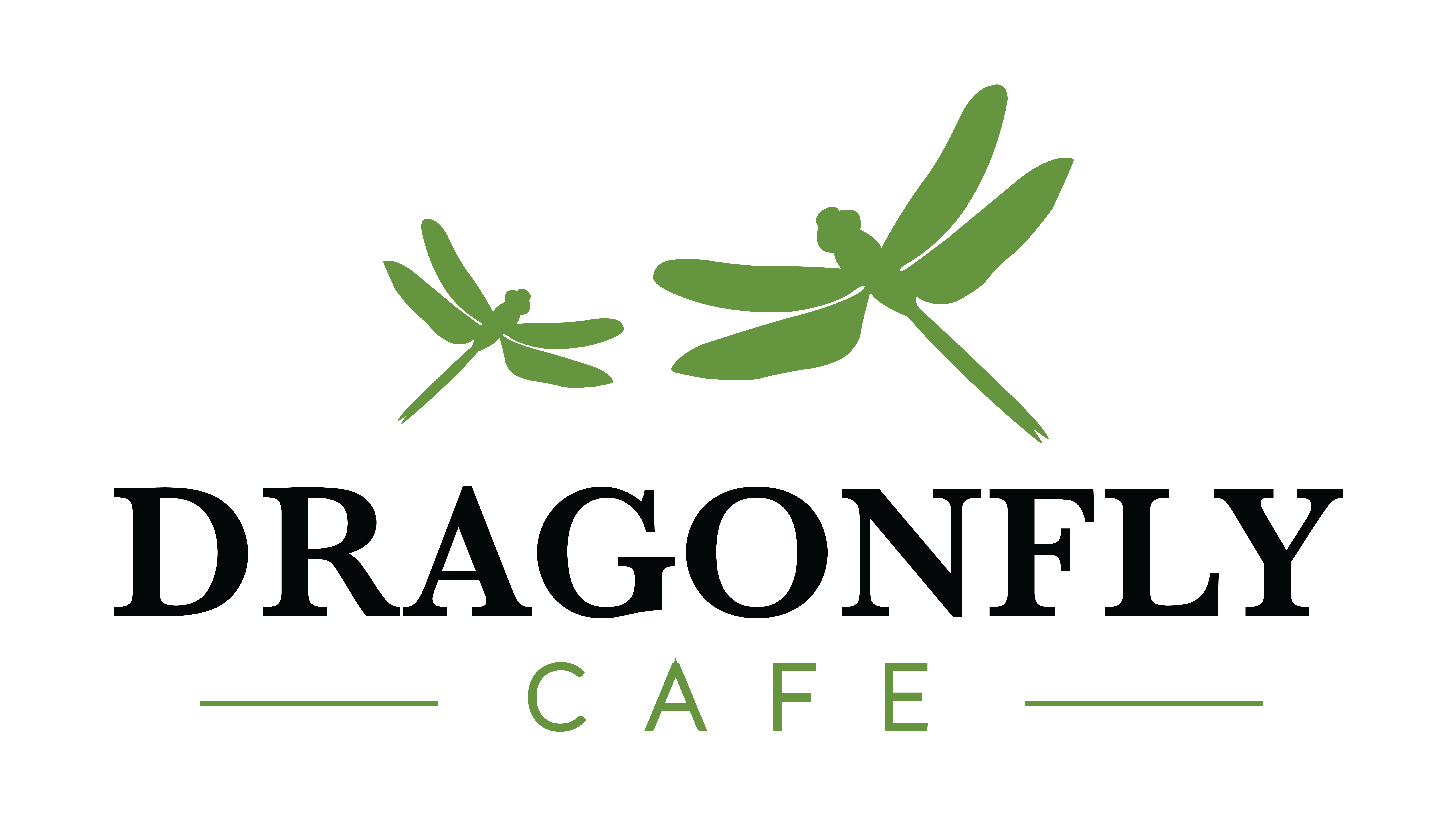 Dragonfly Cafe 165 Thorndike St