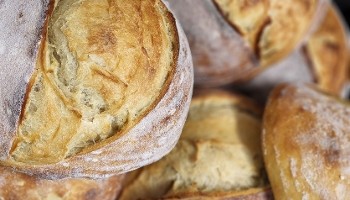 North Wind Bread Company