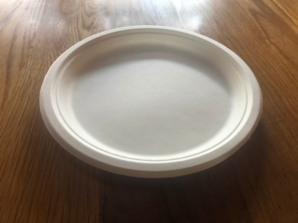 Set of 10 -COMPOSTABLE PLATES