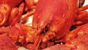 Fresh Catch Seafood & Deli - Mansfield