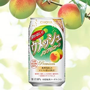 CHOYA Ume Plum Soda 梅子汽水