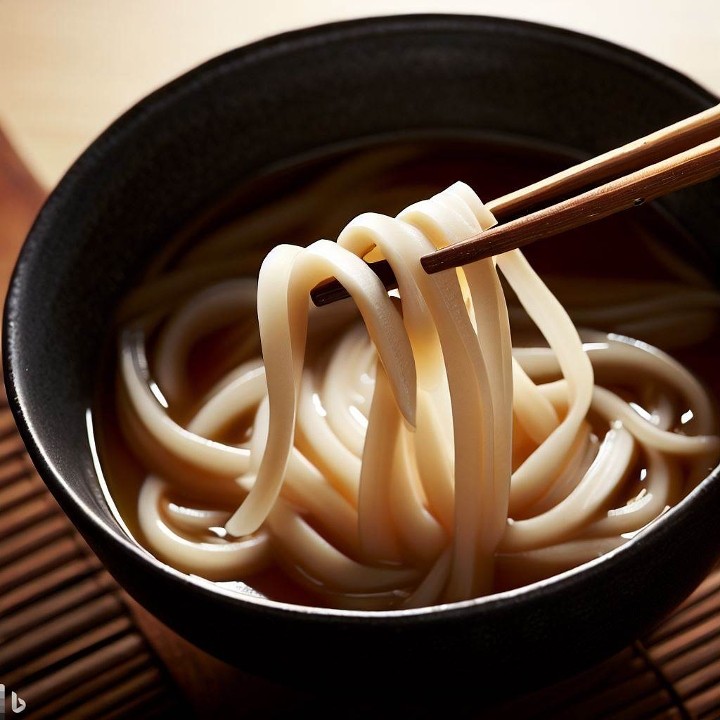 Plain Udon Noodle Soup