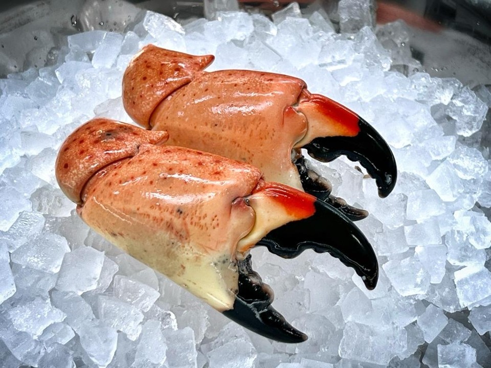 COLOSSAL STONE CRAB