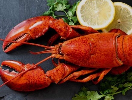 COOKED LOBSTER WHOLE -1.50 LB - PRICE PER LOBSTER