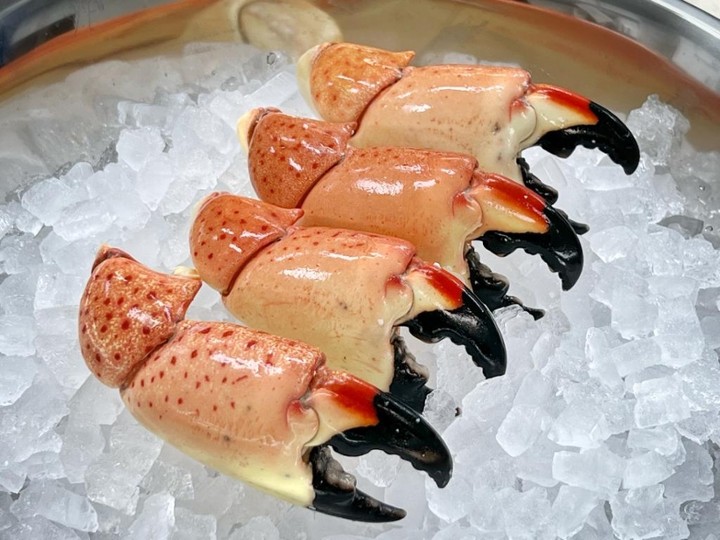 LARGE STONE CRAB