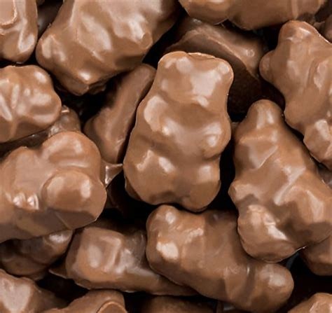 Chocolate Covered Gummy Bears 1/2 Pound