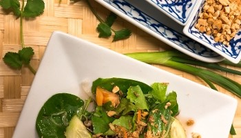 Thai Orchid Cuisine - Petoskey 433 E Mitchell St