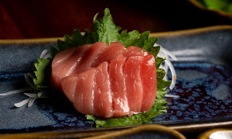 Sashimi Bluefin Tuna Toro