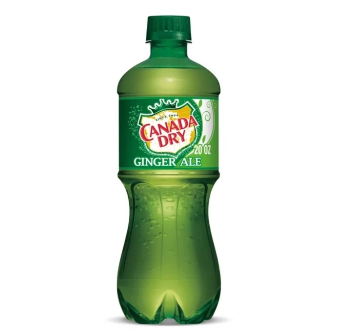 Ginger Ale 20 oz.