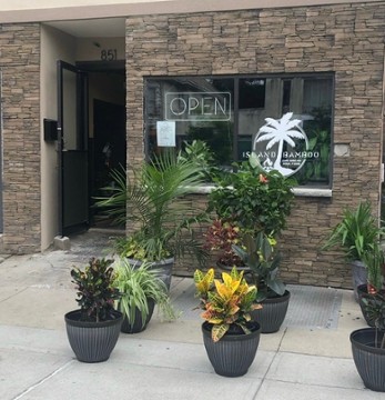 Island Bamboo 851 Madison Avenue, Albany, NY, 12208