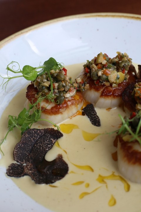 SCALLOPS