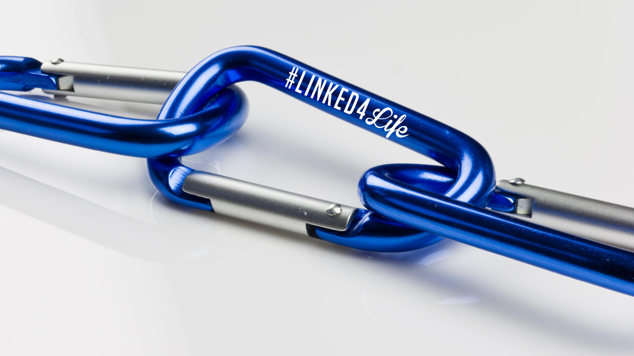 2x Linked for Life Carabiners