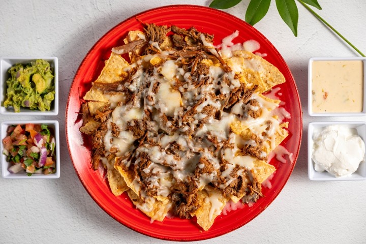 Birria Nachos