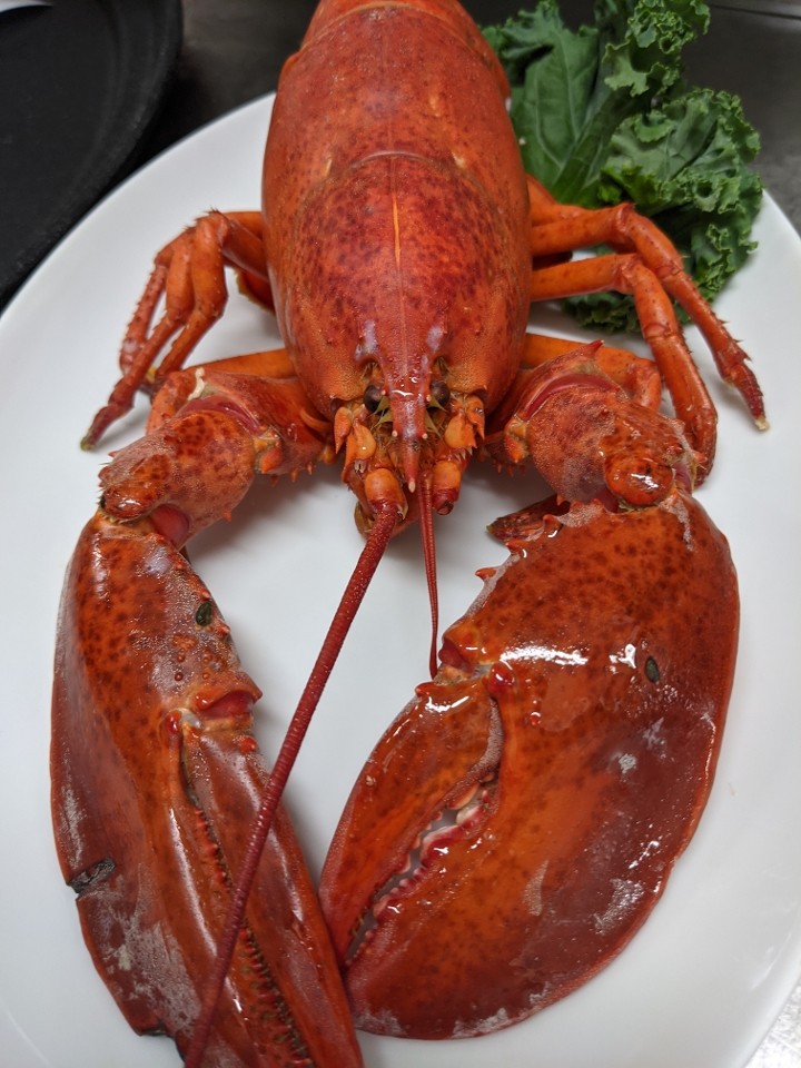 Single Steamed Lobster