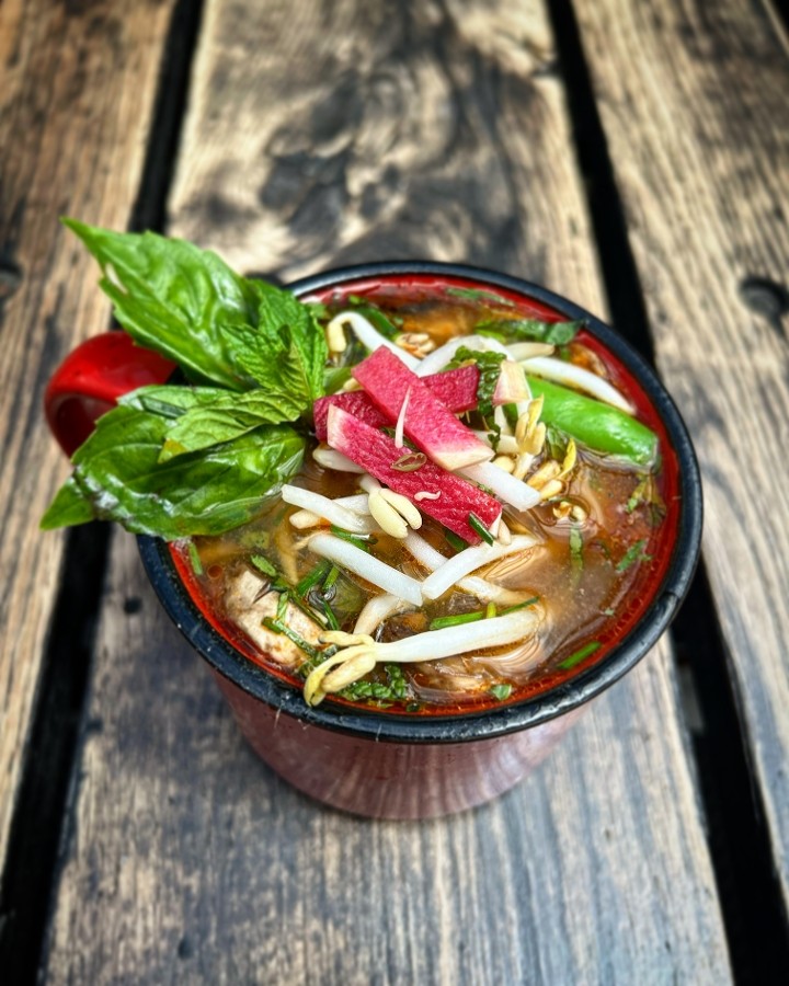 Thai Spring Chicken & Veggie Soup