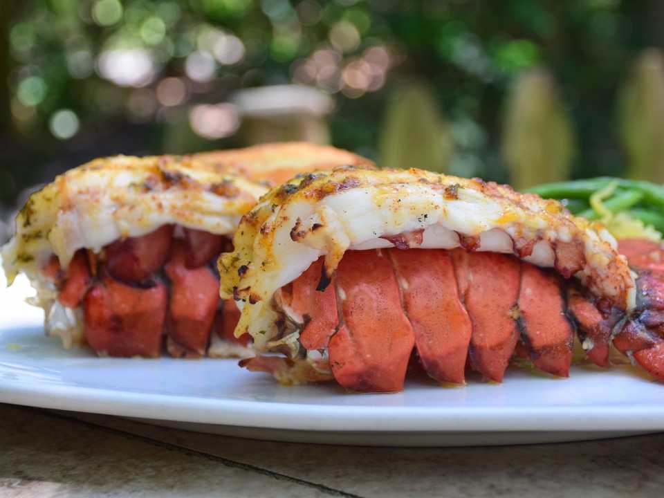 Lazy Lobster of Longboat Key