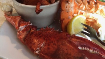 Lazy Lobster of Longboat Key