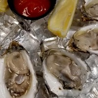 Oysters 10
