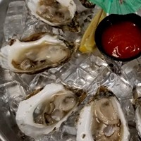 Oysters 30
