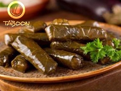 GRAPE LEAVES APP