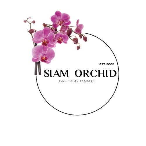 Siam Orchid