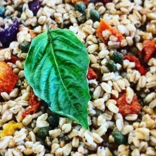 Farro Salad