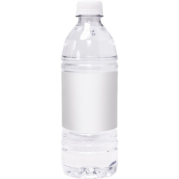 20 oz  Bottled Water