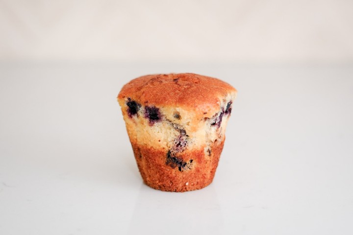 Blueberry Muffin