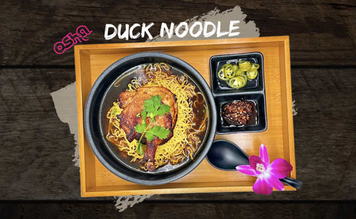 Duck Noodle
