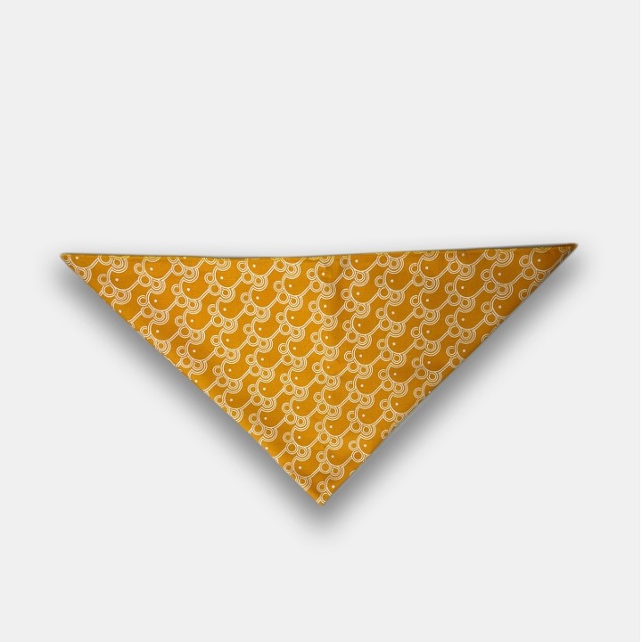 Pattern Bandana